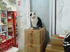 -大润发(勤业店)