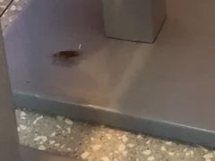 -陕味食族油泼面·小炒盖码面(双榆树店)