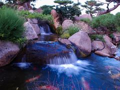 -罗红摄影艺术馆