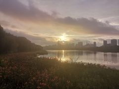 -南宁南湖公园