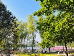 -莲花池公园