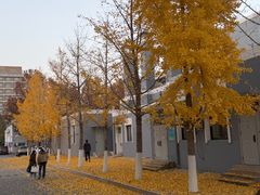 -回龙观体育文化公园