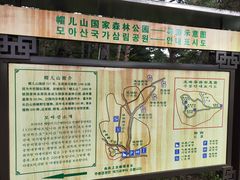 -帽儿山国家森林公园