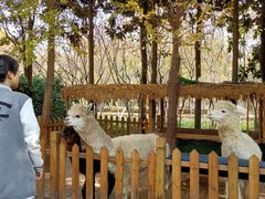 -洛阳市隋唐城遗址植物园