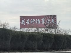 -盱眙虾怪·旗舰店