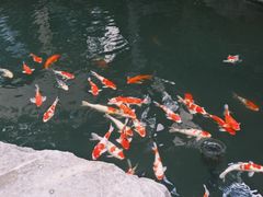 -新荣记(西溪湿地店)