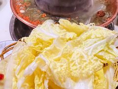 大白菜-颐品居涮肉(乌鲁木齐中路店)