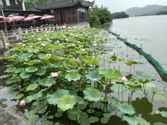 -湘湖大院(越王路店)