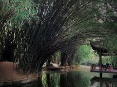 -棠湖公园