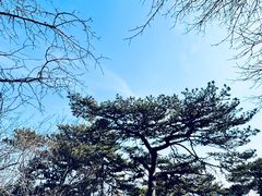 -妙峰山风景名胜区