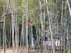 -兰亭风景区