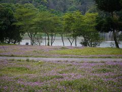 -福建鲤鱼洲酒店