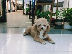 -曼哈顿商业广场(升龙广场店)
