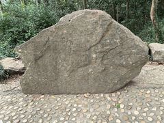 -上海佘山国家森林公园天马山园