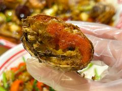 -江味龙虾馆·裸蓝龙虾(南山店)