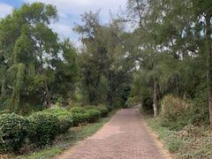 -漳州滨海火山岛自然生态风景区