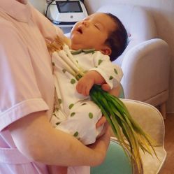 -海豚湾高端月子会所(黄浦店)