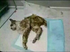 android_upload_pic-盛京一禾