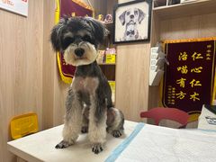 -恒幸动物医院·急重症转诊中心·神经内外科·CT核磁