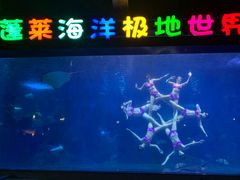 -蓬莱欧乐堡海洋极地世界