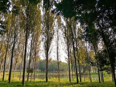 -东郊湿地公园