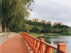 -丁香湖公园