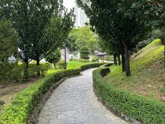 -九龙寨城公园