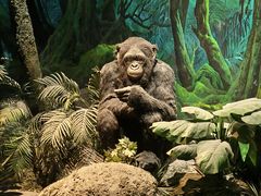 -国家自然博物馆