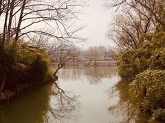 -西溪国家湿地公园