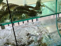 -凯华海鲜火锅·传承三十六年