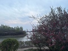 -丁香湖公园