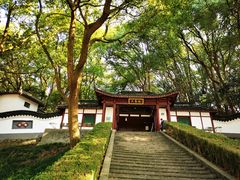 -上海佘山国家森林公园天马山园