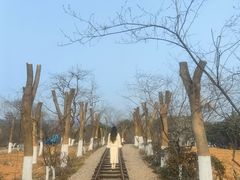 -南京市溧水区傅家边梅花山弄山庄