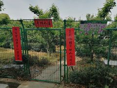 -树山生态村