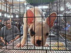 -尚泰清迈机场购物中心