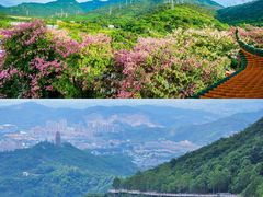 -东莞观音山旅游风景区