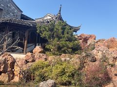 -芥子园