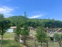 -东明山森林公园