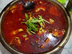 -重庆特色冷锅鱼(武大店)