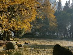 -温江公园