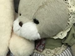 -巧姑传