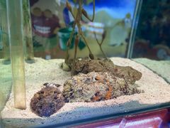 -太平洋海底世界