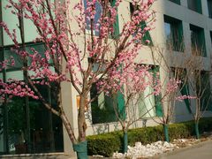 -和美电影艺术中心(万国城店)