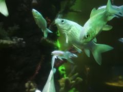-嘉兴海底世界