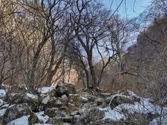 -秦岭风景区