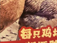 -化龙桥九宫格火锅(清水河店)