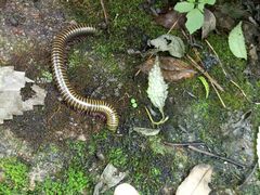 -溪口-滕头旅游景区