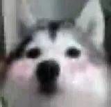 -周记传统糕点PASTRY(蜀汉路店)