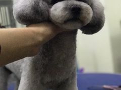 -沐沐家宠物(成寿寺店)