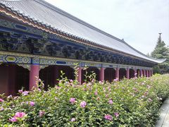 -崇圣寺三塔文化旅游区